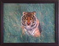 Tiger Framed